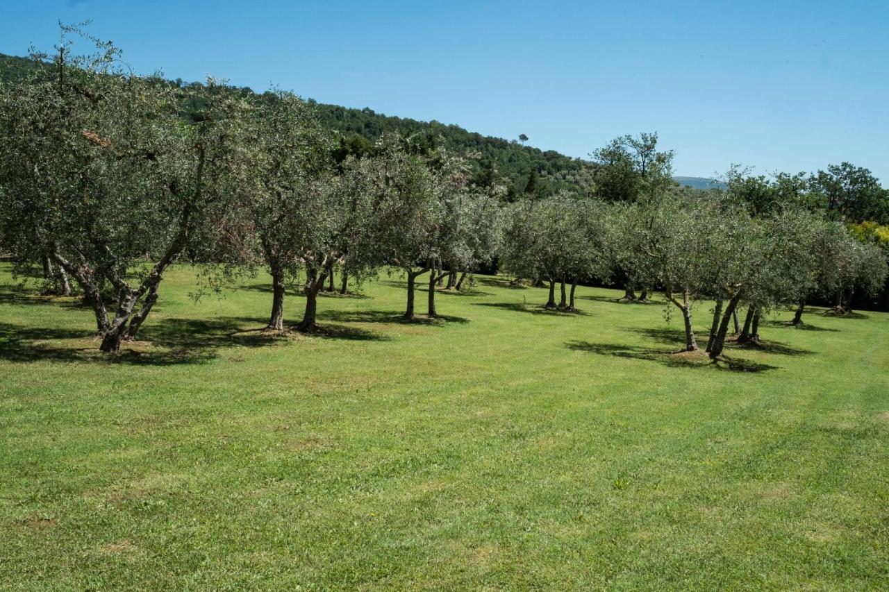 La Casa Delle Rose Villa Terranuova Bracciolini Eksteriør bilde